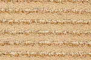 Ковролин Radici Painstripe Beige 2705 фото  | FLOORDEALER